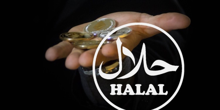fake halaal crypto investment scam in india