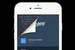 malware steals private key on copay wallet