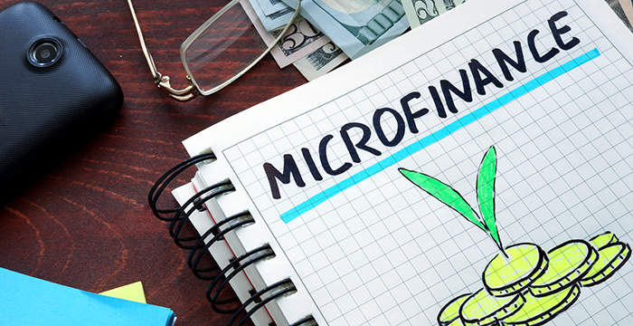 What Comes After the 1990s For Microfinance 1