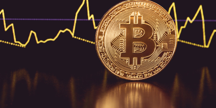 Bitcoin's surge raises crypto market cap to all time high of 336 billion 1