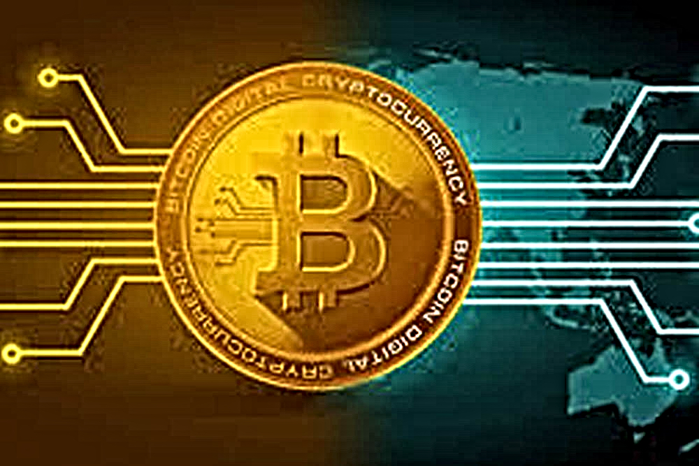 BTC BCH Adoption increasing
