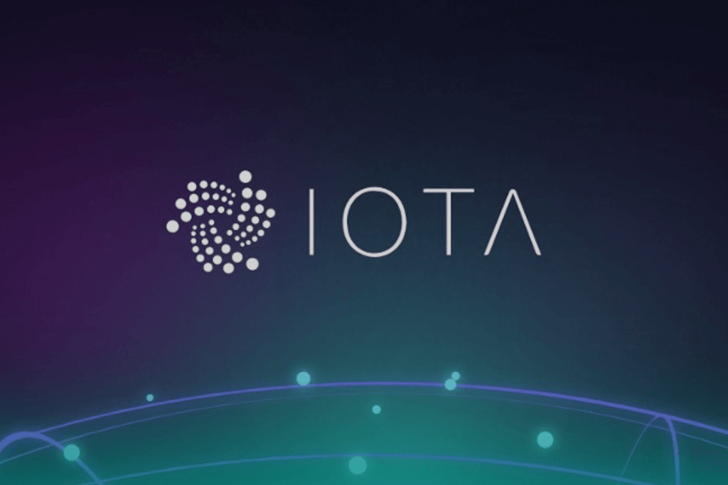 IOTA WordPress