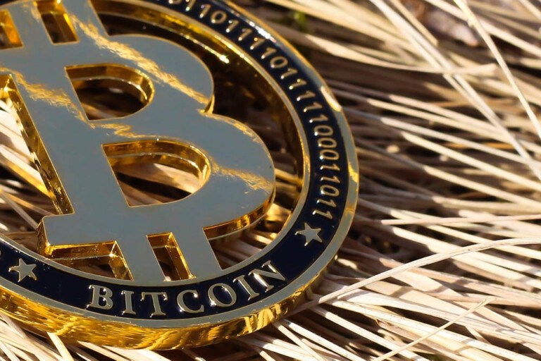 bitcoin tiene una tendencia más alta que Kim Kardashian