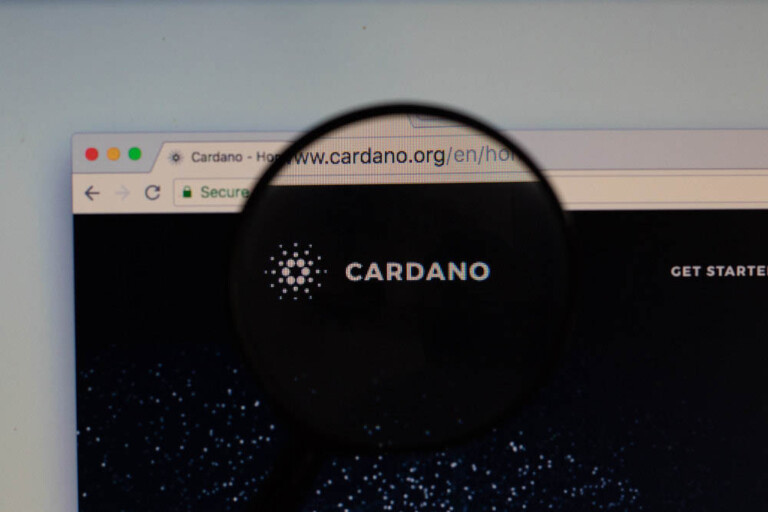 cardano dapp prediction weiss rating