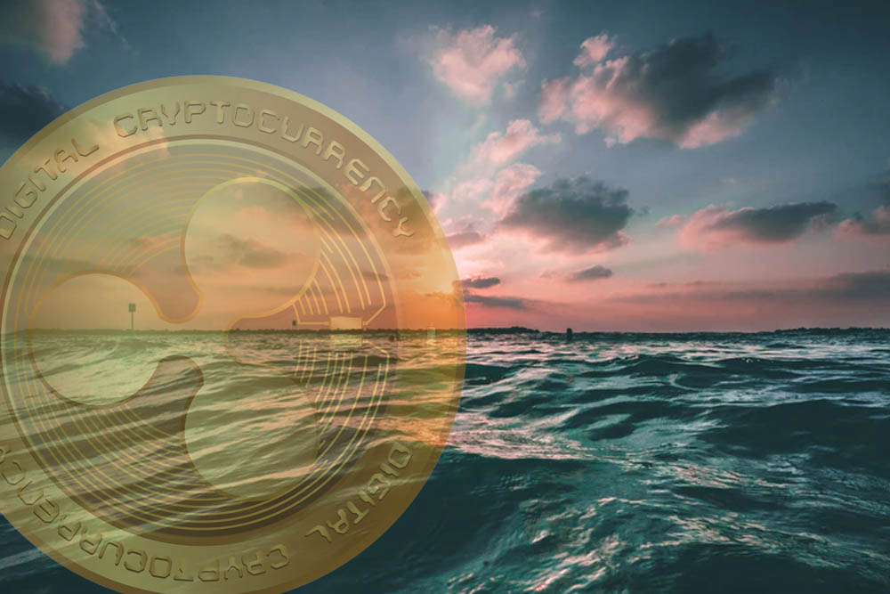 ripple price movement 29 june 2019