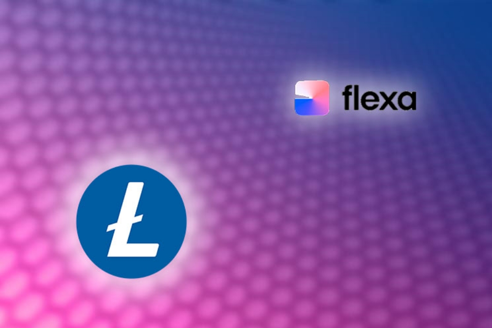 In Light of Flexa Gemini and Spedn App News