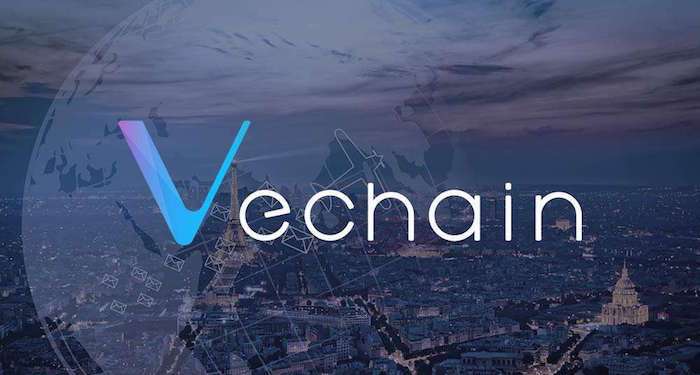 VET 16 may 2019