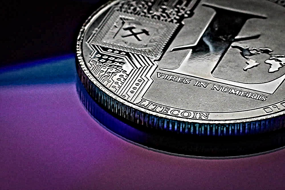 litecoin can grow 500 percent