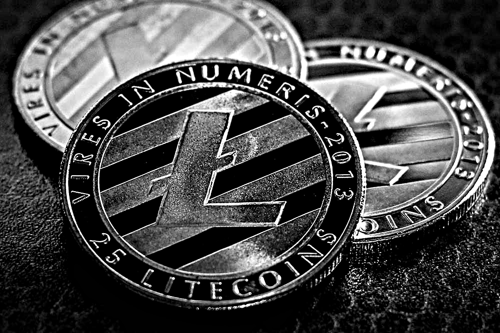 Litecoin 价格不错