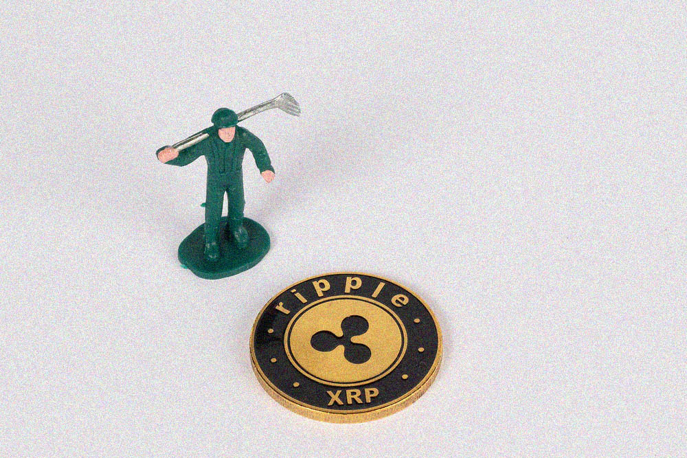 ripple price 21 august 2019