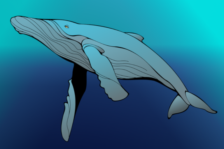 Bitcoin Wale transferieren 94504 BTC.dentsind weiterhin geheim