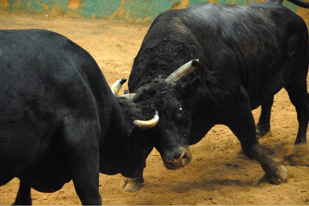 EOS price analysis Bulls swarm EOS as it moves towards 4.5