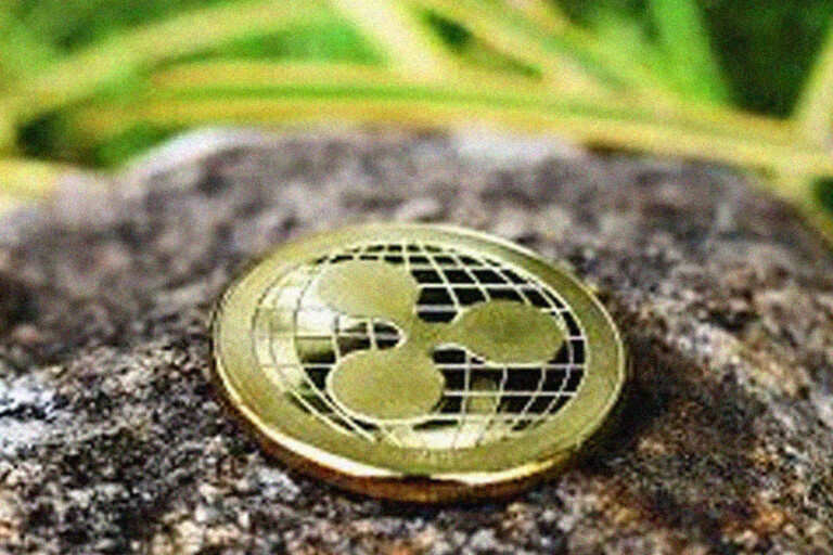 Крупный инвестор перемещает 25 миллионов токенов XRP на фоне обвала рынка