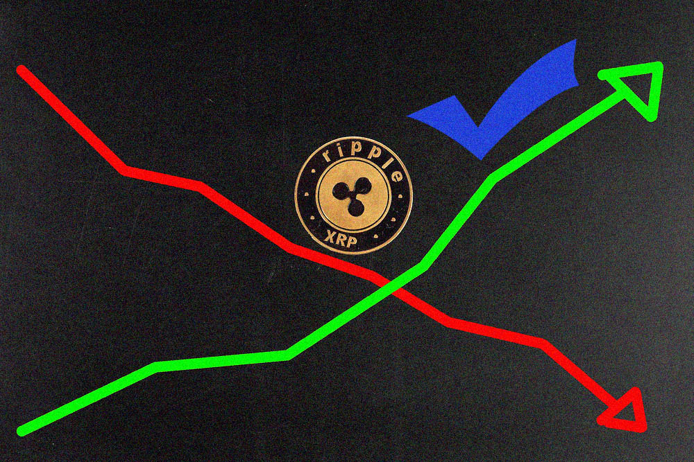 ripple xrp price 5 september 2019