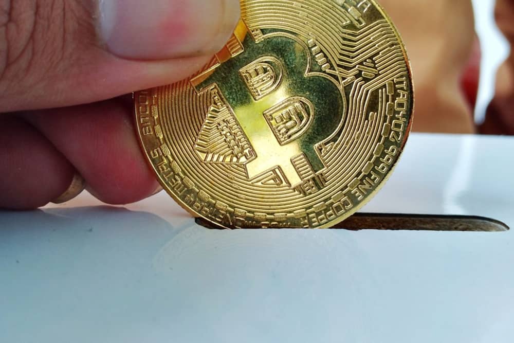 Bitcoin vote 1520x1024