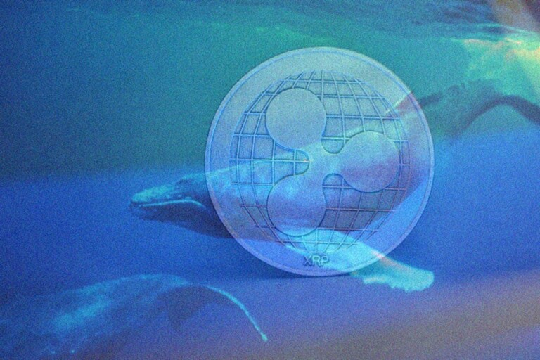 Ripple XRP whale movement shake community
