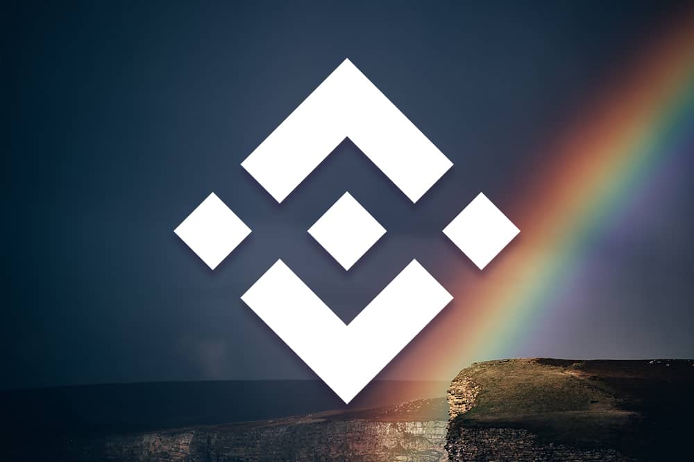 Binance Coin BNB Price Analysis Nov 20