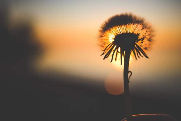 Vergleich der Kryptopreise damals