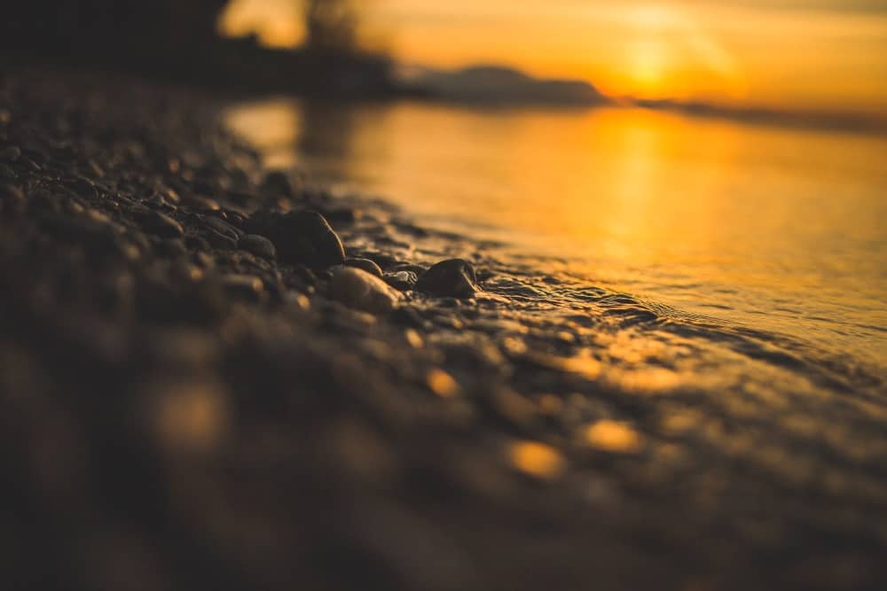XRP Price Predictions — What To Expect From The Turn of Events