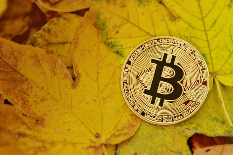 bitcoin 3773585 1280