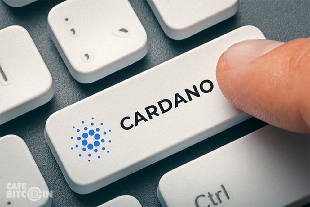 cardano ada price analysis nov 8