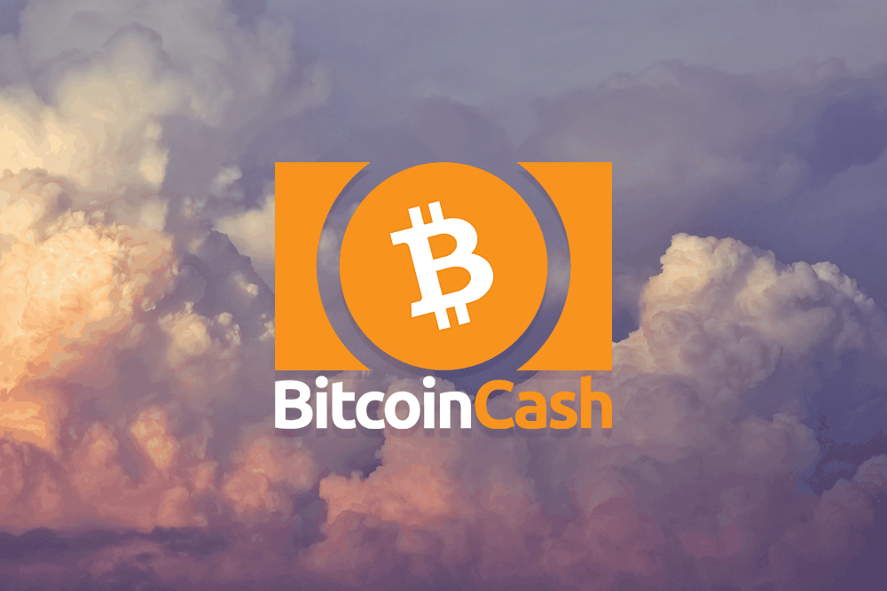 Bitcoin Cash Price fall to on December