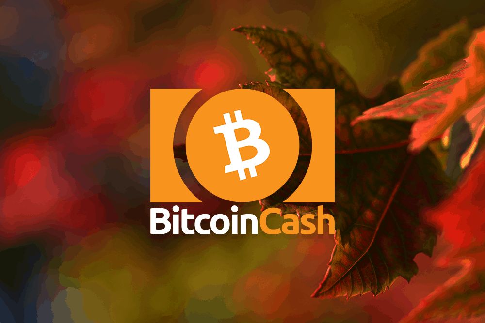 Bitcoin Cash Price retraces towards