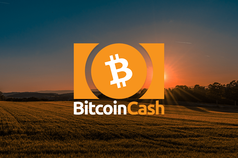 Bitcoin Cash Preis kreuzt