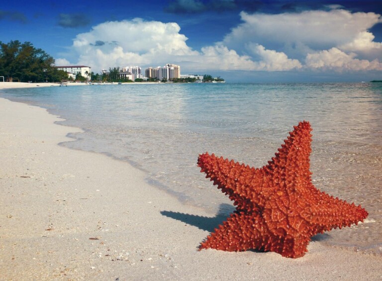 Bahamas Sand Dollar pilot phase begins in Exuma full launch in