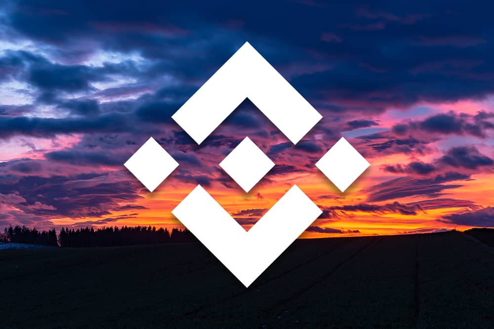Binance Coin BNB Price Analysis Dec