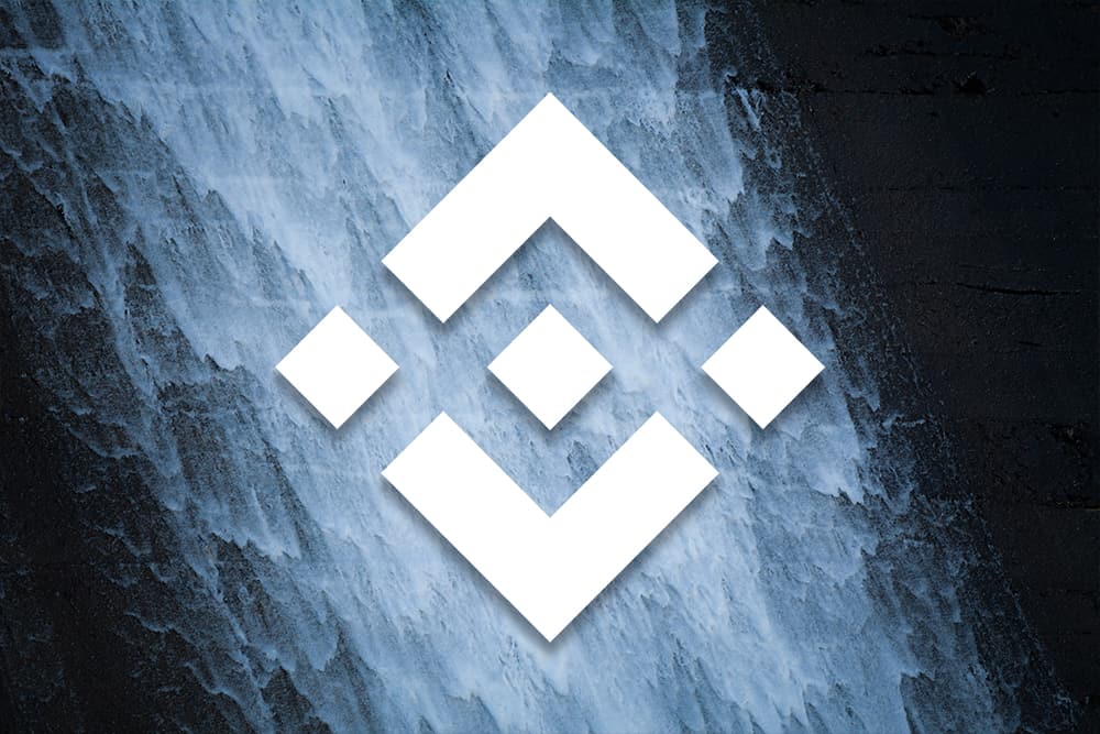 Binance Coin BNB Price Analysis Dec