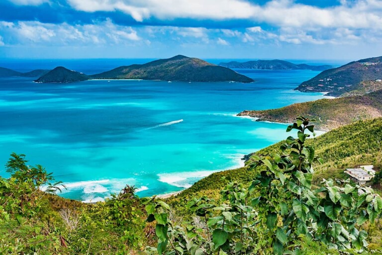 BVI LIFE stablecoin won t be developed says BVI government