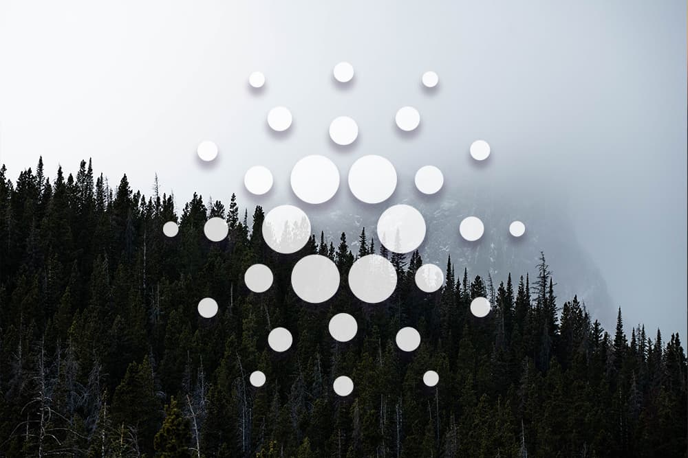 Cardano ADA Price Analysis Dec