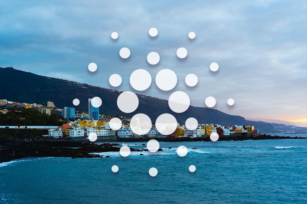 Cardano ADA Price Analysis Dec