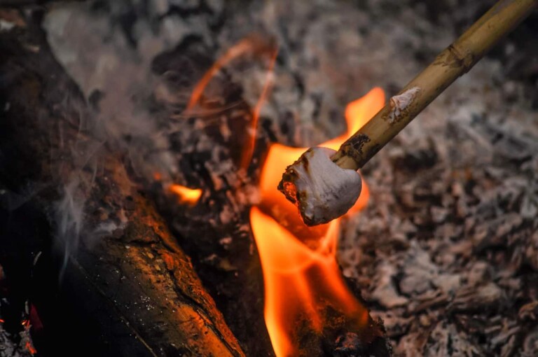 Crypto exchange Gemini burnt one million GUSD tokens only 4.1 million remaining
