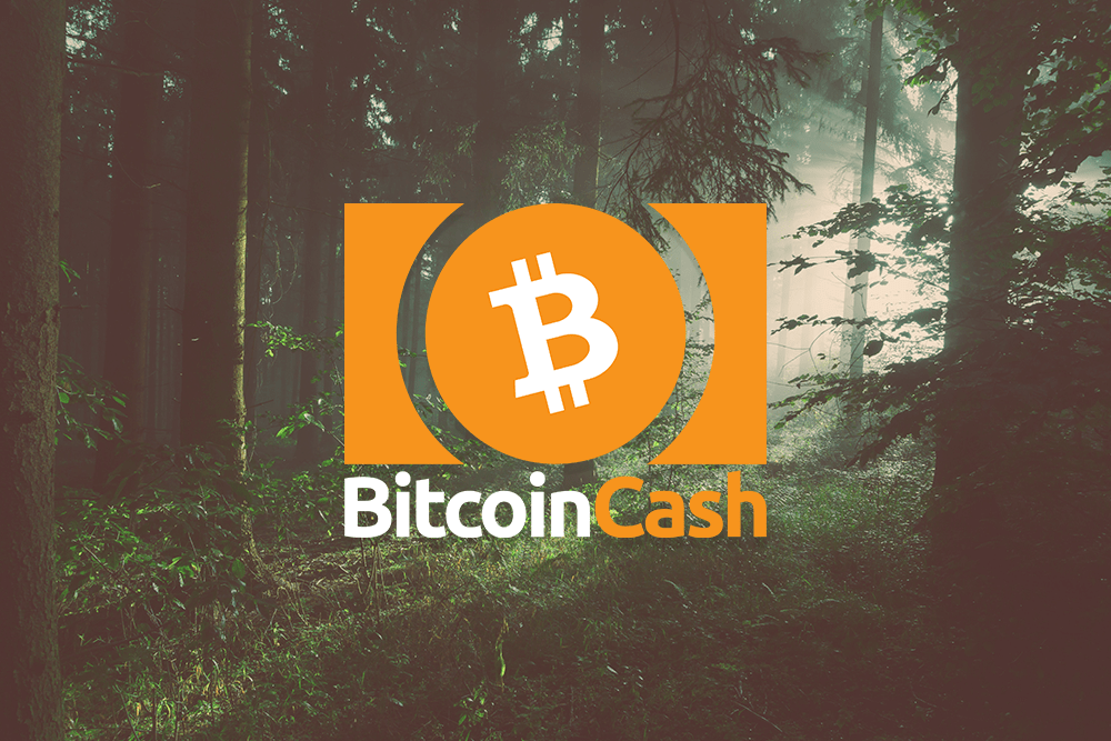 Bitcoin Cash Featured Image