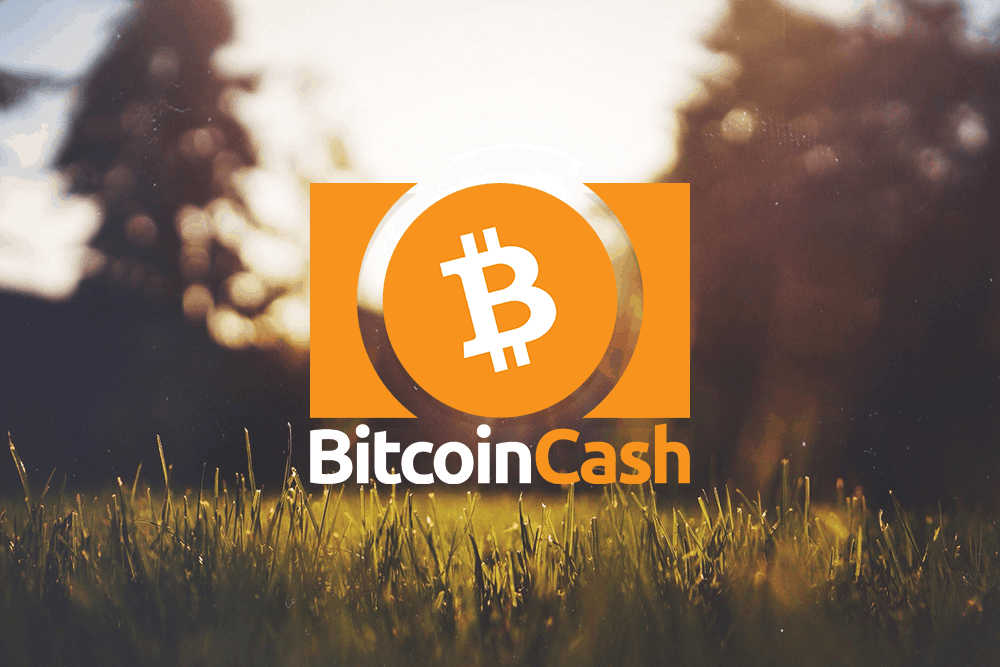 Bitcoin Cash Price fall to
