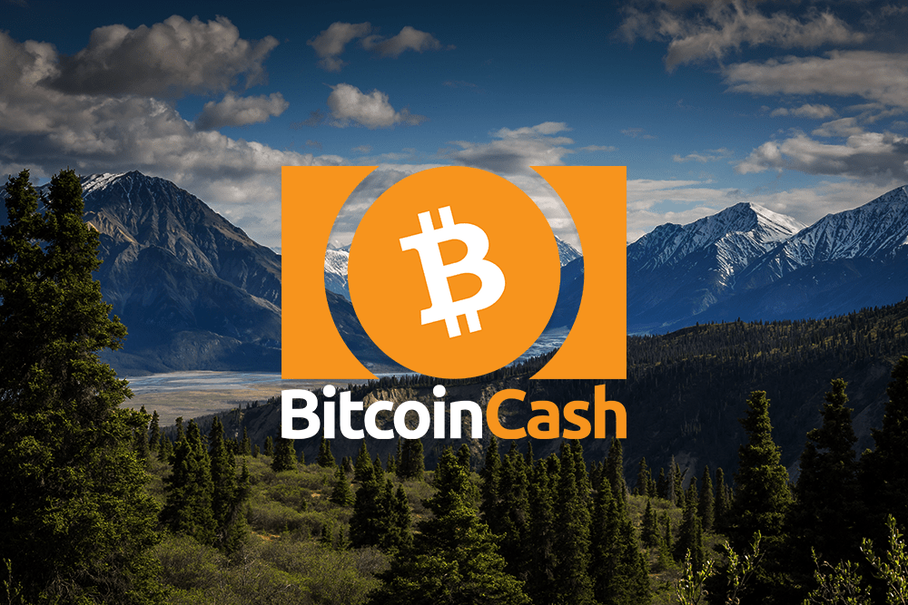 Bitcoin Cash Price falls under