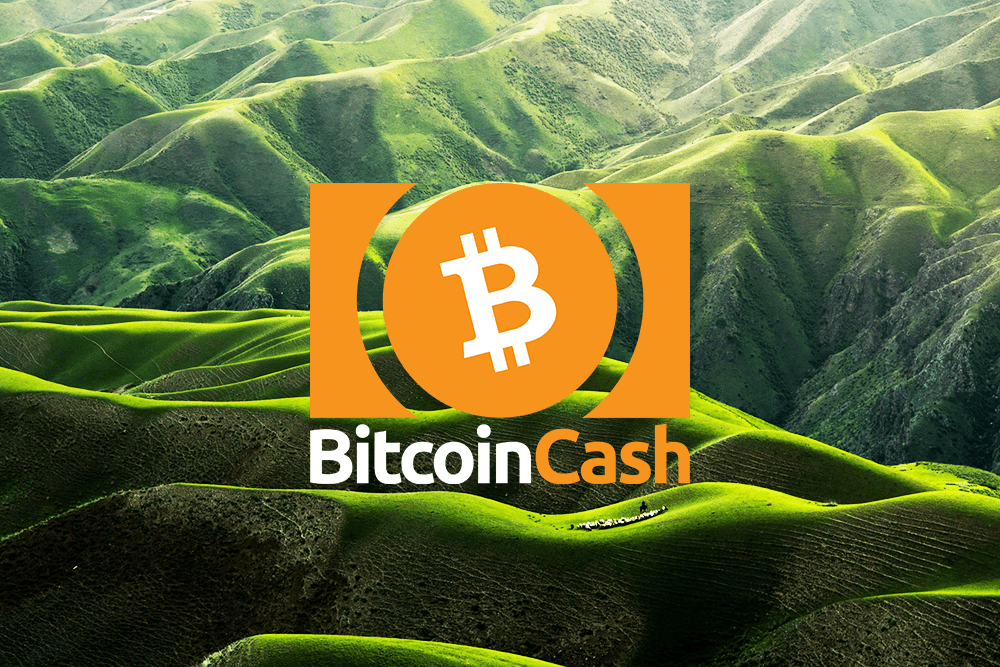 Bitcoin Cash Preis erreicht
