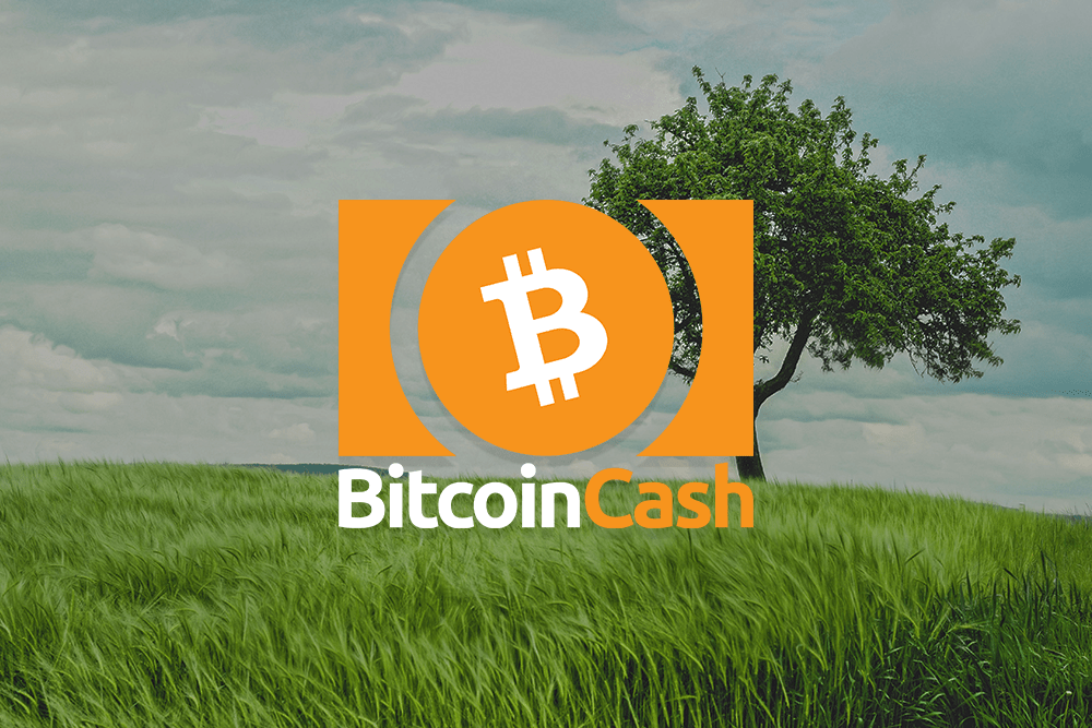 bitcoin cash Preis (Abbildung)