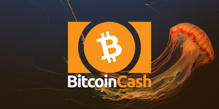 Bitcoin Cash Featured Image