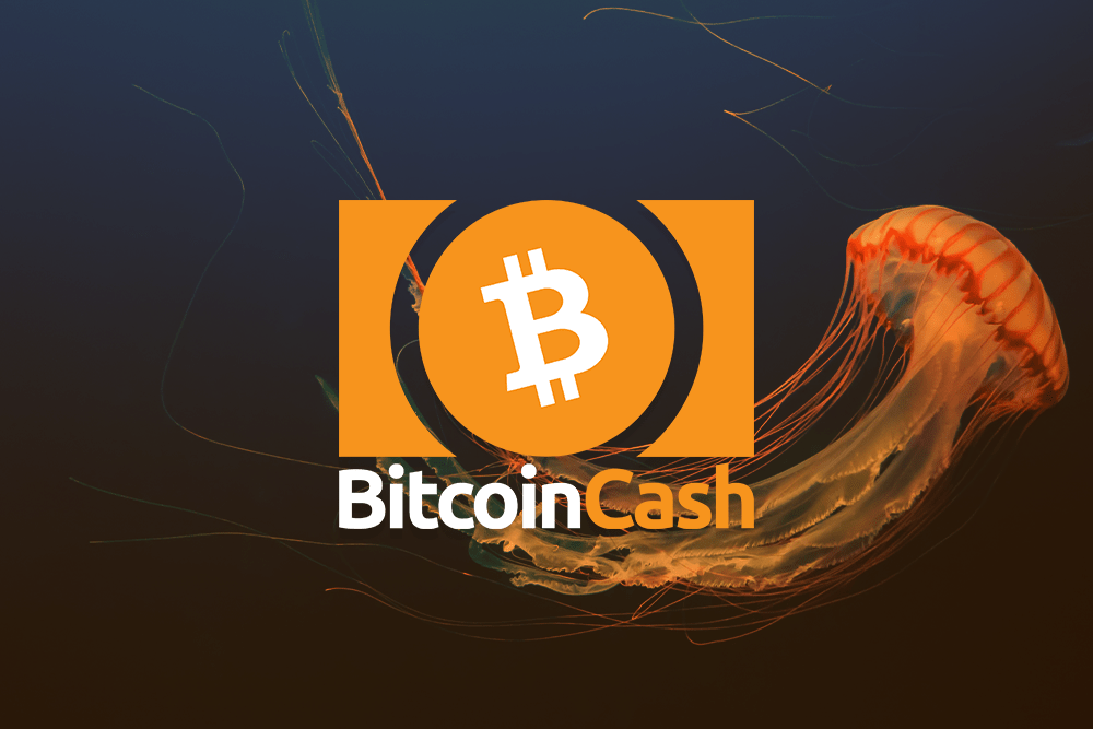 Bitcoin Cash Featured Image