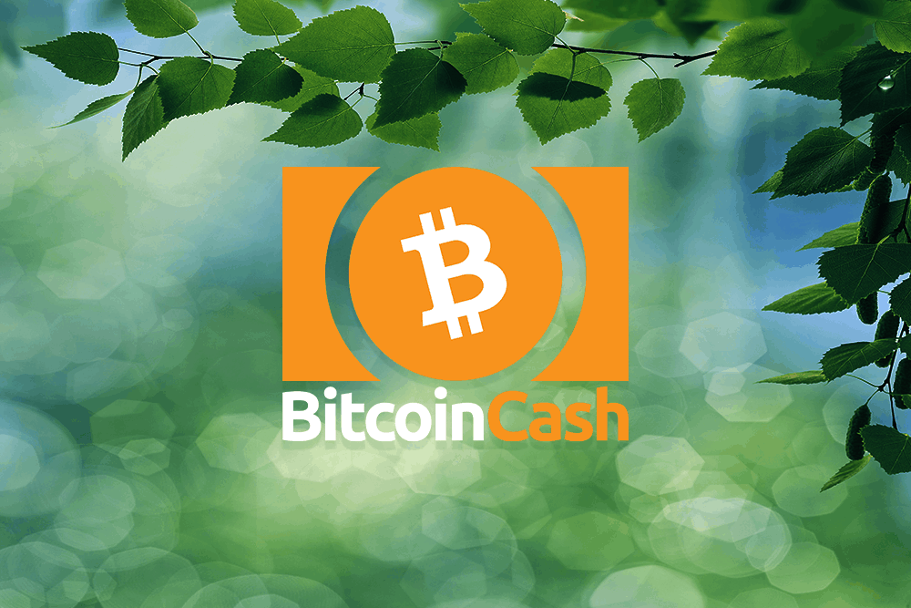 BCH featured image january