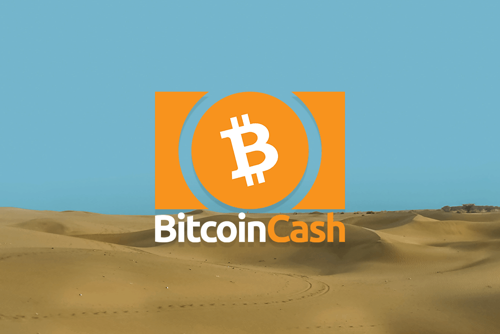 BCH featured image january