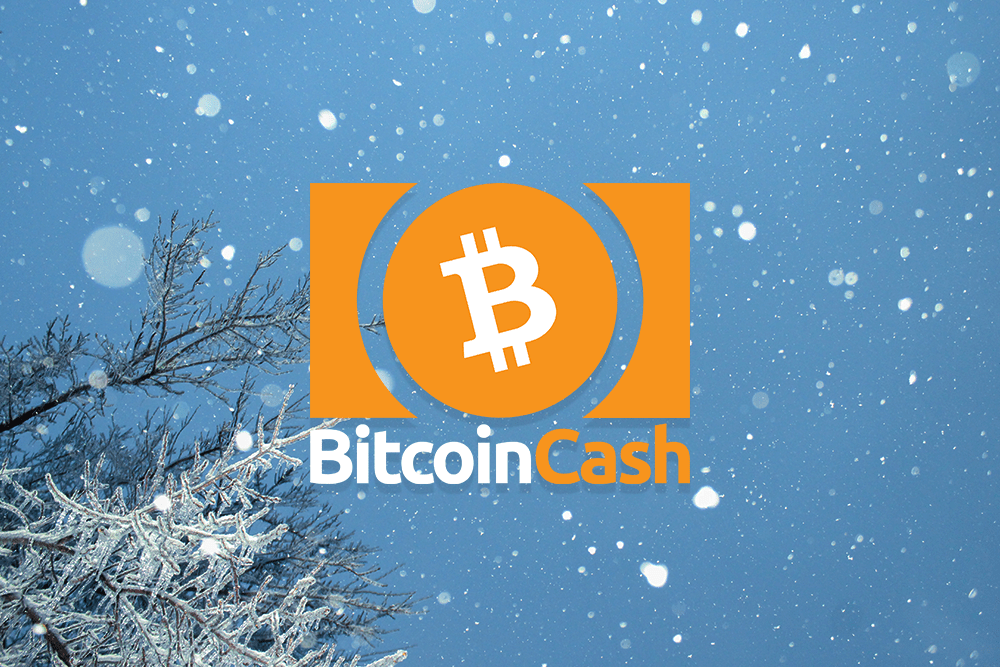 BCH featured image january