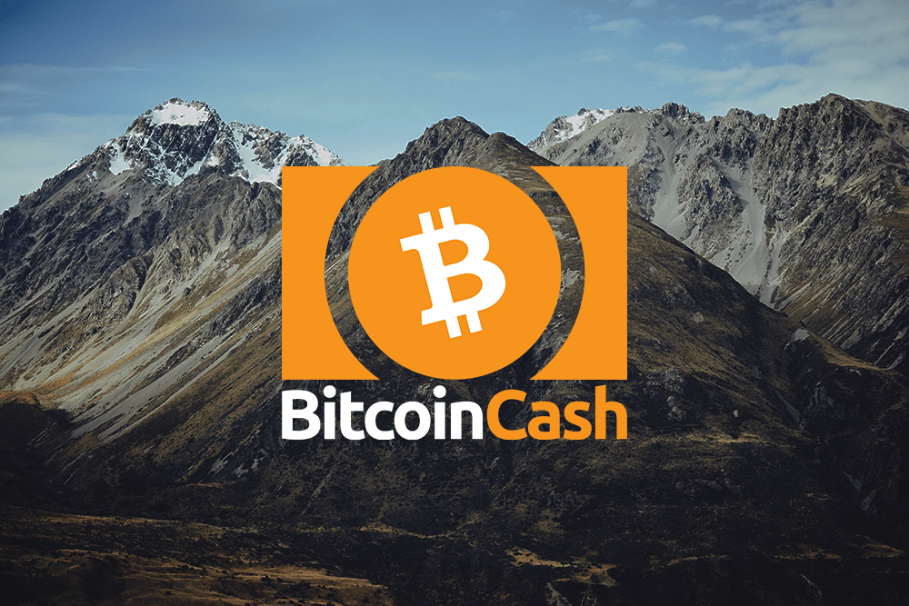 BCH featured image january