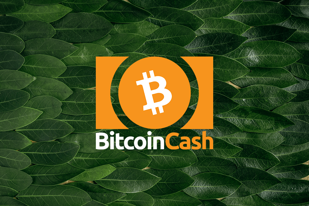 Bitcoin Cash price rests at