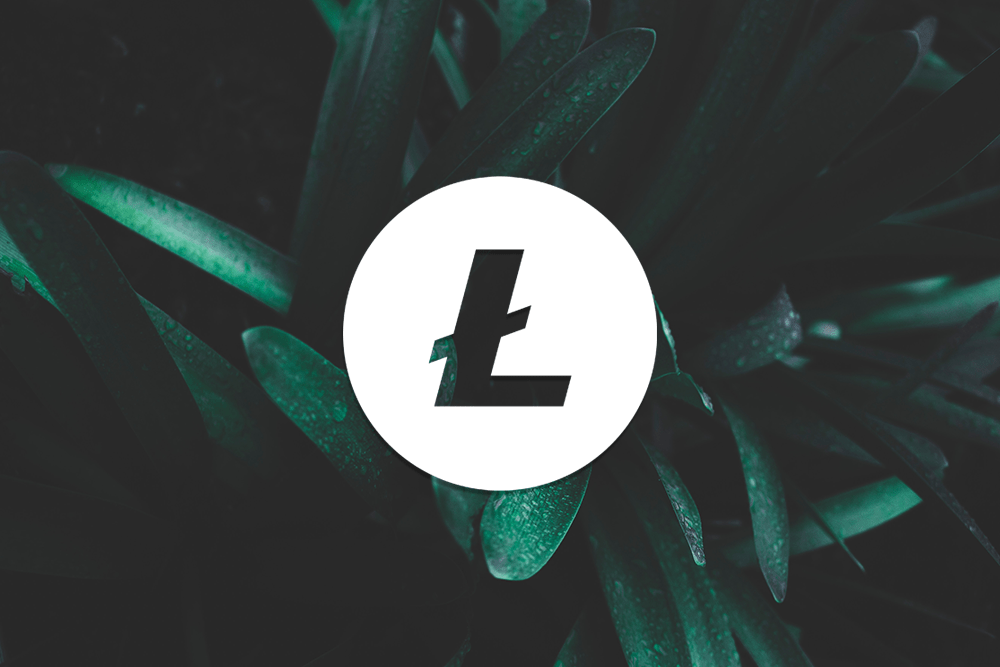Litecoin price rejected from strong resistance at