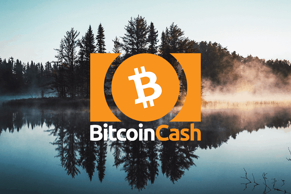 Bitcoin Cash price sees bulls to