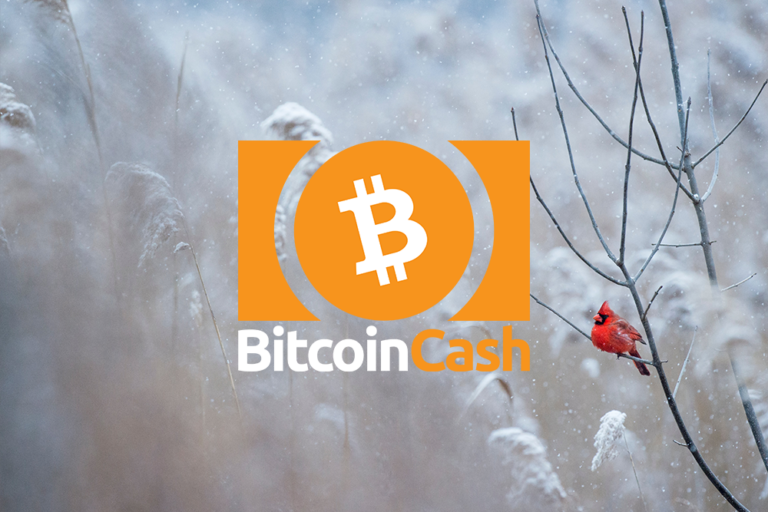 Bitcoin Cash price retests near